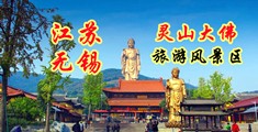 添穴高潮网站江苏无锡灵山大佛旅游风景区