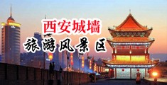 V88AV喷水多毛中国陕西-西安城墙旅游风景区