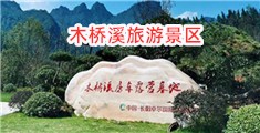 肏女人的逼